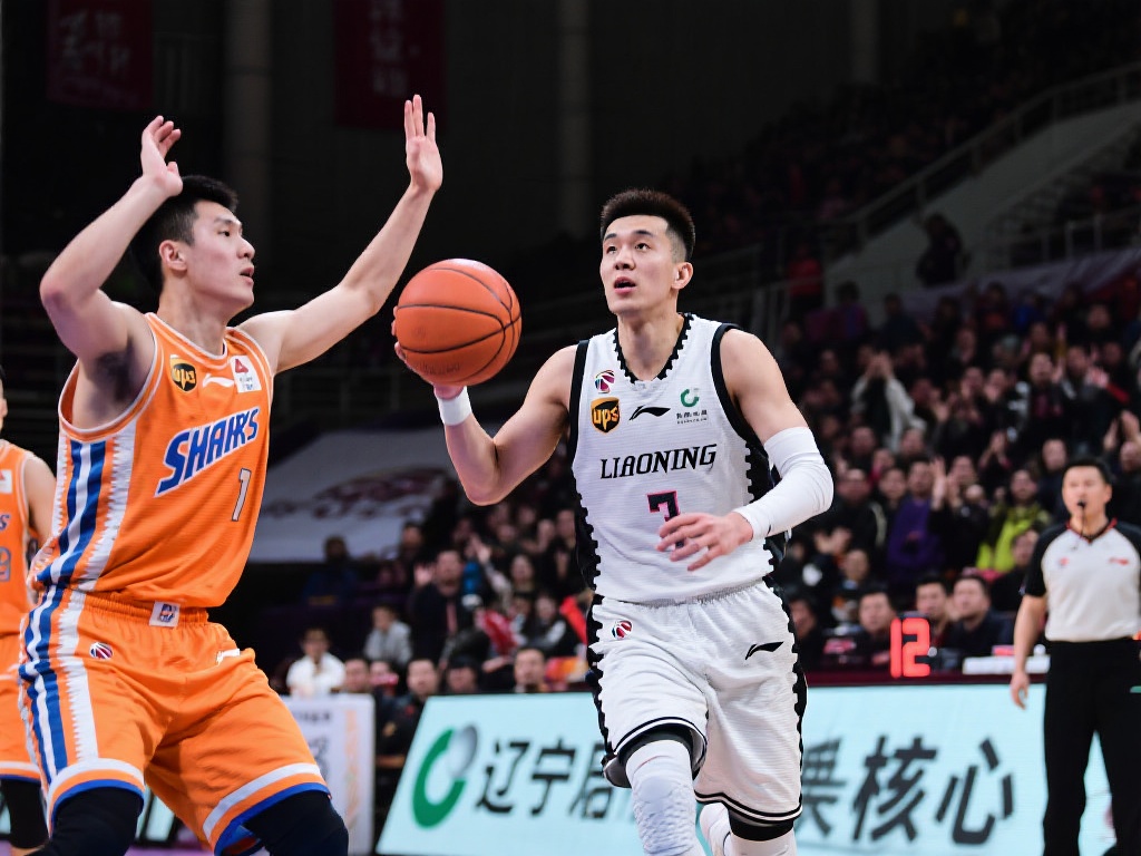 了新鲜血液 了新鲜血液